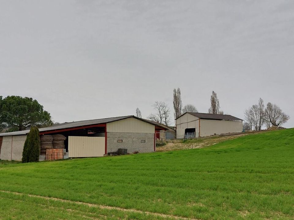 Gårdshus i Saint-Vivien-de-Monsegur, Gironde - bilde 2