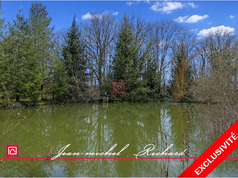 Villa em Gy-en-Sologne, Loir-et-Cher - foto 2