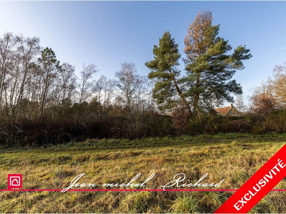 Terra em Billy, Loir-et-Cher - foto 1