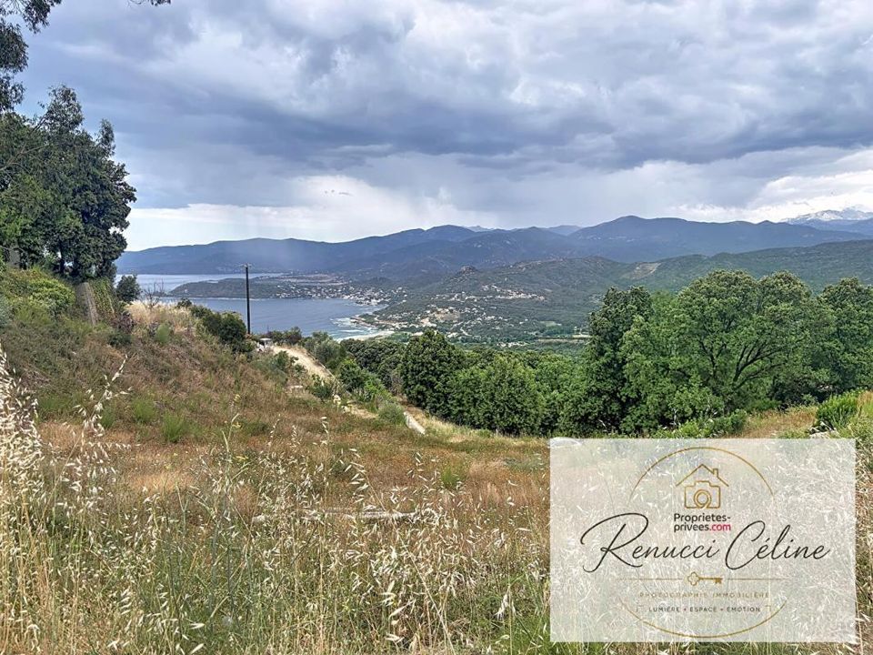 Tomt i Calcatoggio, Corse-du-Sud - bilde 5