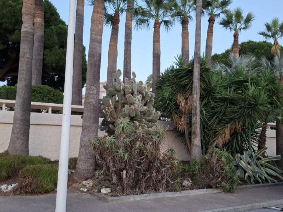 Lejlighed i Cannes, Alpes-Maritimes - foto 5