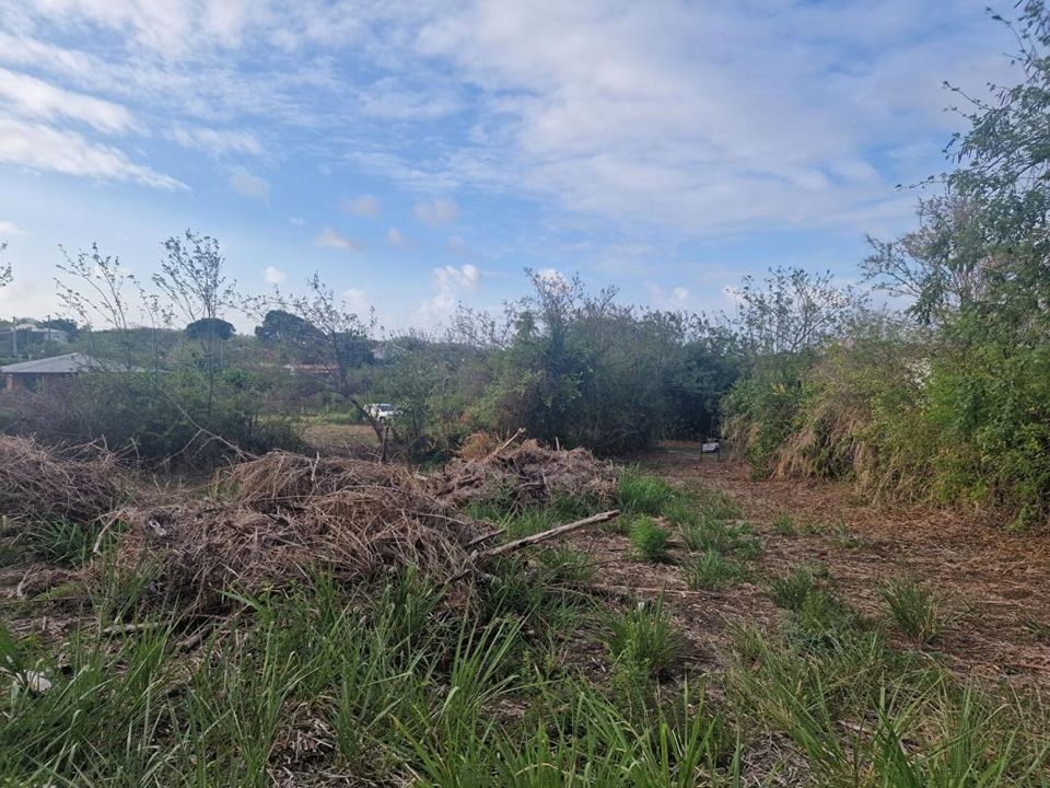 Terreno en Le Vauclin, Martinique - foto 3