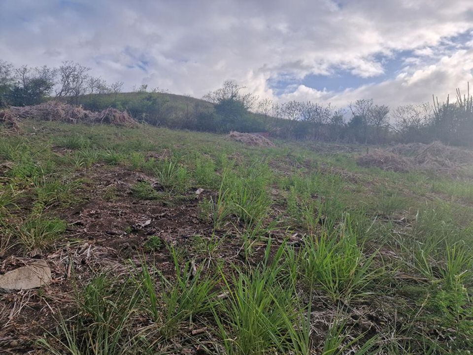 Terreno en Le Vauclin, Martinique - foto 4
