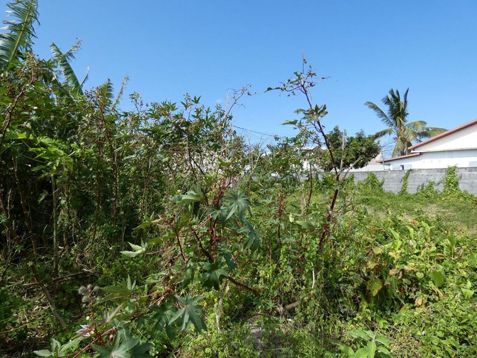 Grundstück in Saint-Benoit, La Reunion - Foto 3