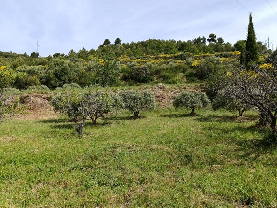 Tomt i Manosque, Alpes-de-Haute-Provence - bilde 3