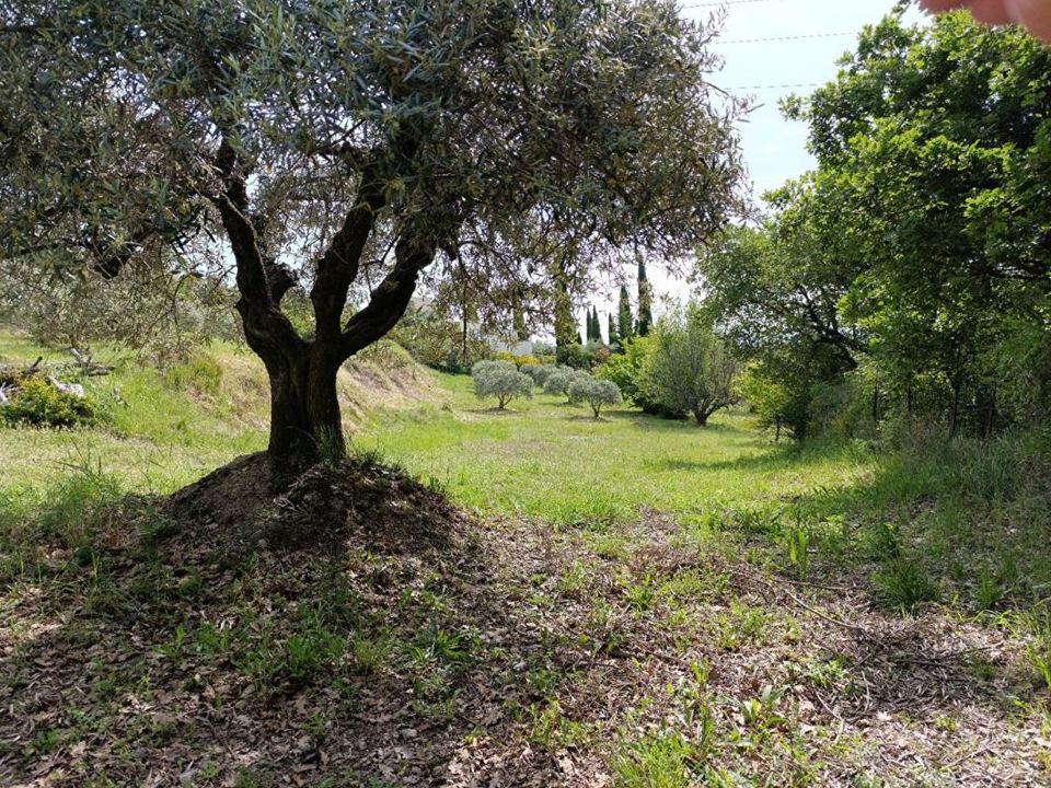 Tomt i Manosque, Alpes-de-Haute-Provence - bilde 5
