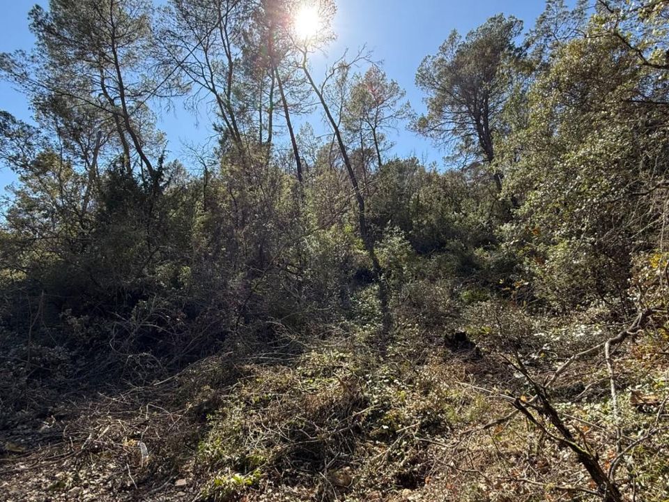 Terreno en Entrecasteaux, Var - foto 2