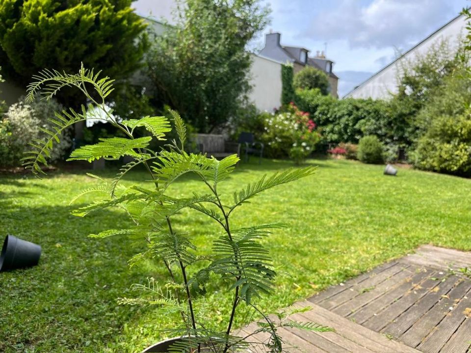 Villa en Vannes, Morbihan - foto 3