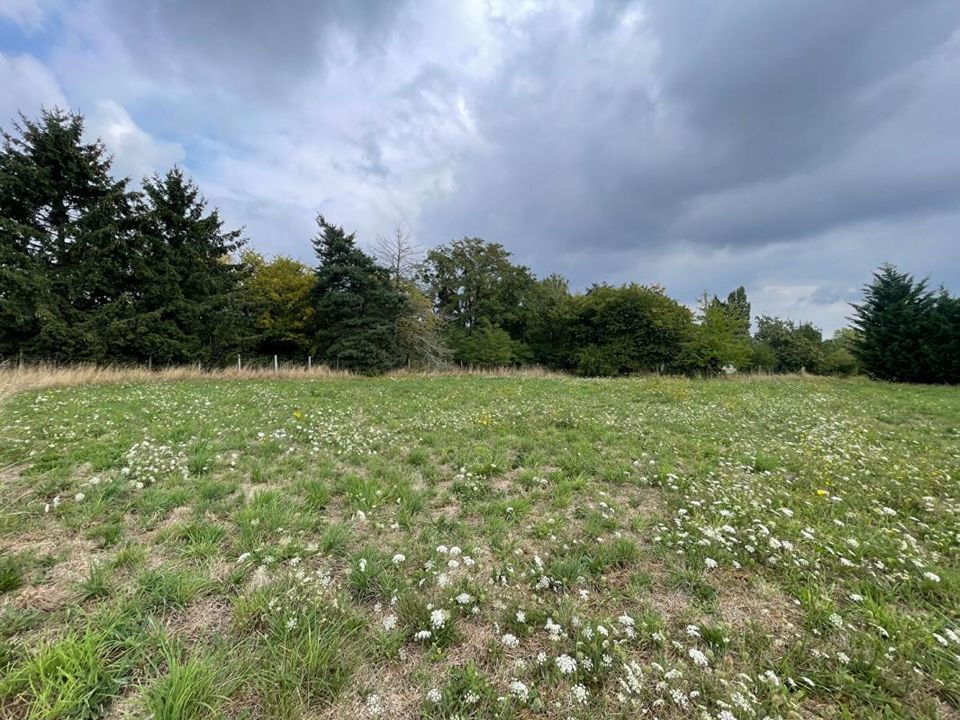 Tomt i La Chapelle-sur-Aveyron, Loiret - bilde 2