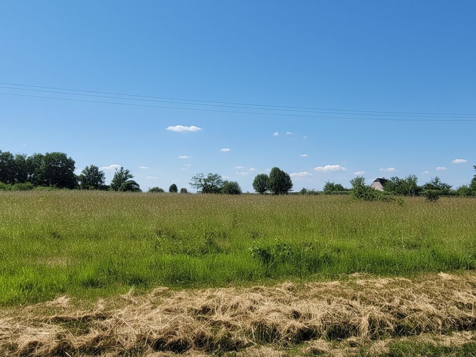 Terra em Plazac, Dordogne - foto 1