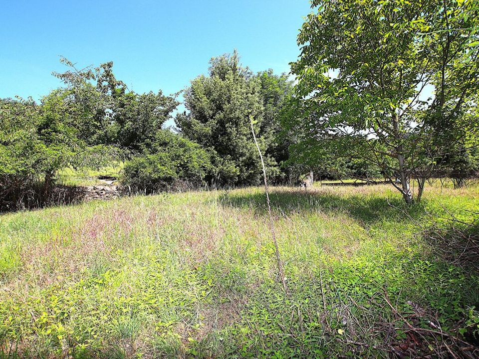 Villa a Saint-Gervais-Sur-Mare, Herault - foto 5
