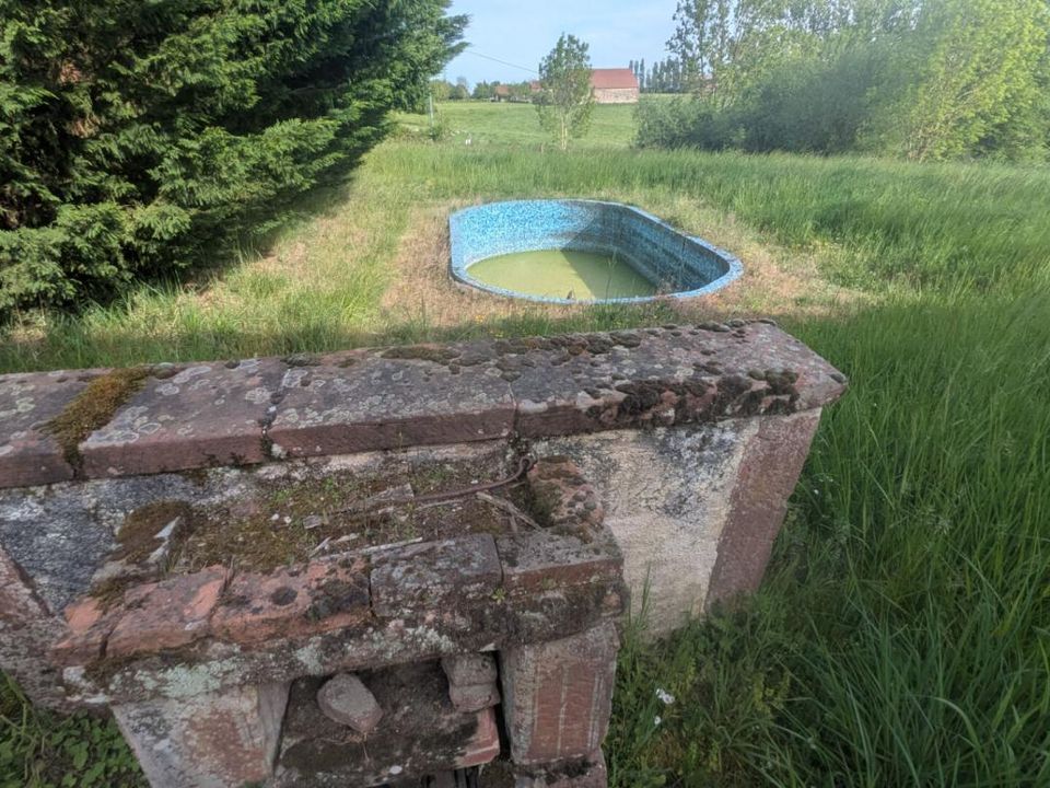 Haus in Saint-Léon, Allier - Foto 4