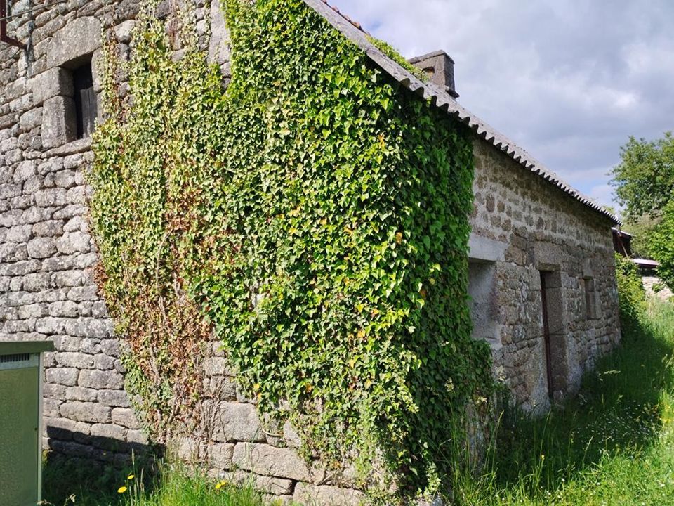 Villa em Langonnet, Morbihan - foto 3