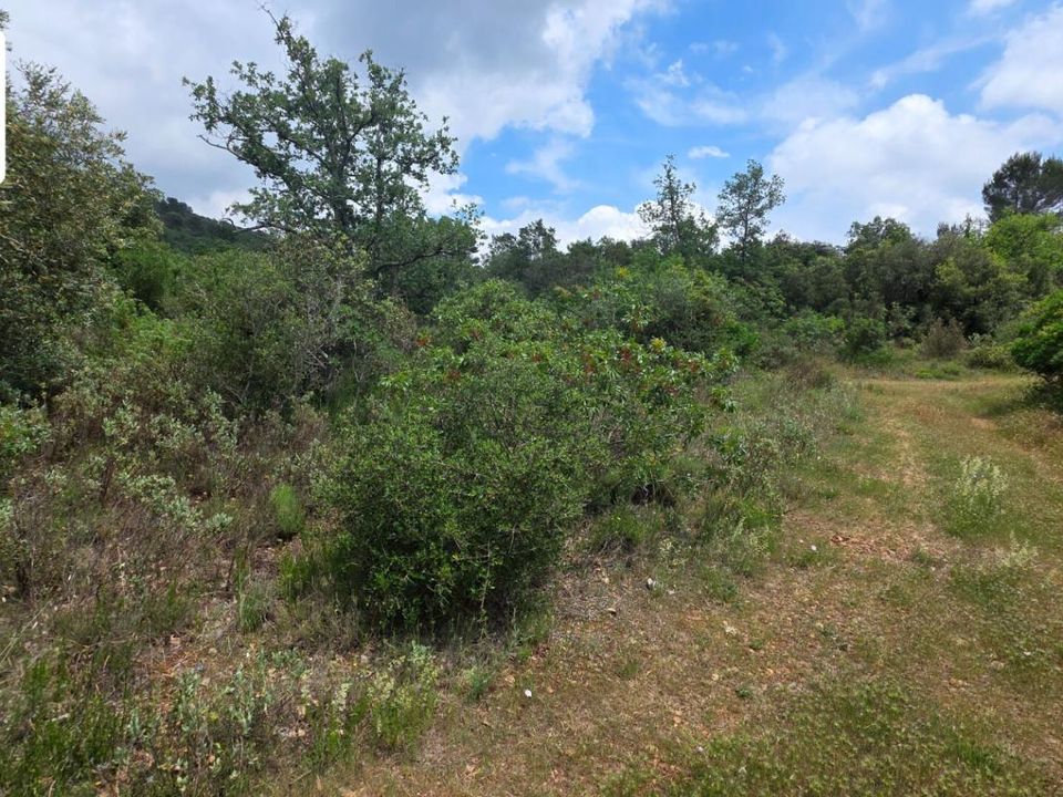 Helårsgrund i Saint-Cezaire-sur-Siagne, Alpes-Maritimes - foto 4