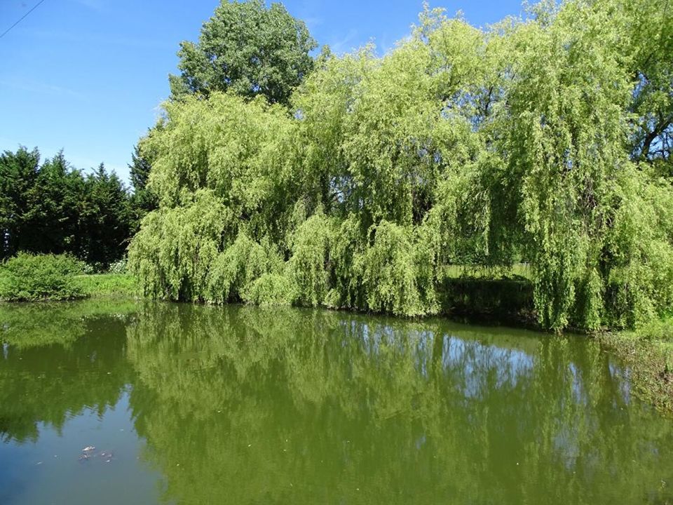 Villa i Sainte-Orse, Dordogne - foto 2