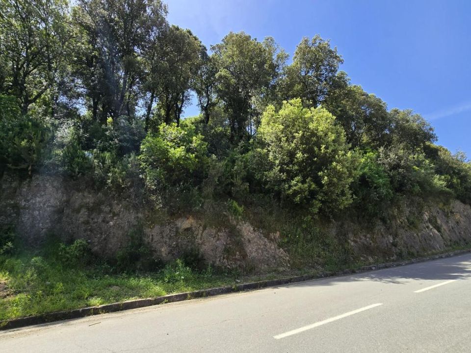 Grond in Sartène, Corse-du-Sud - foto 1