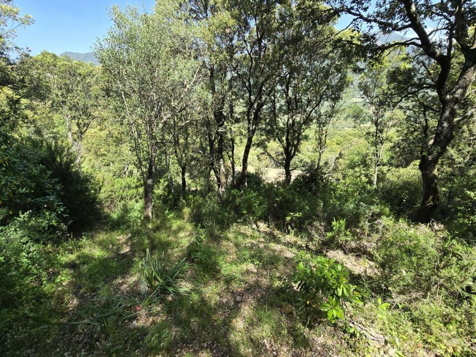 Grond in Sartène, Corse-du-Sud - foto 2