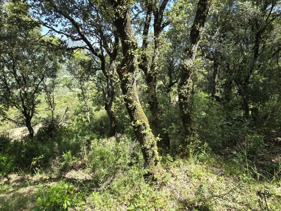 Grond in Sartène, Corse-du-Sud - foto 3