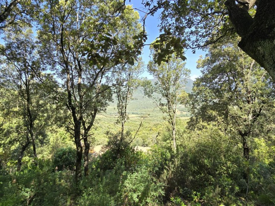 Grond in Sartène, Corse-du-Sud - foto 4