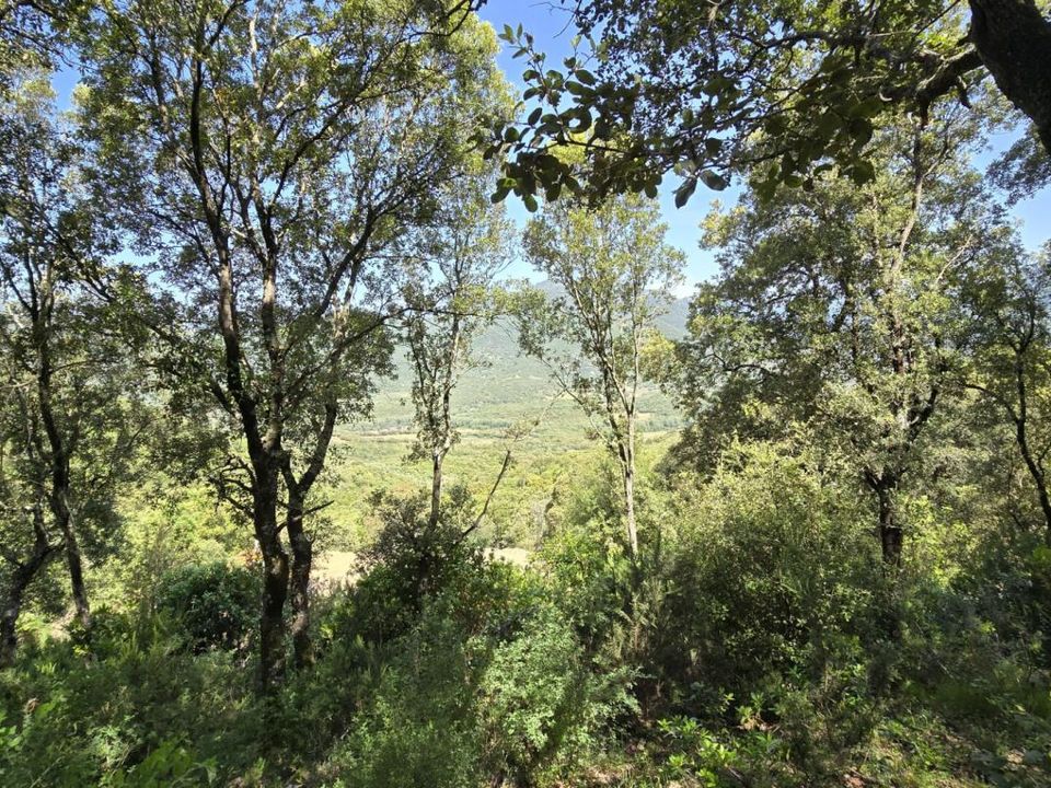 Grond in Sartène, Corse-du-Sud - foto 5
