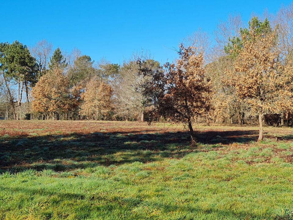 Helårsgrund i Mussidan, Dordogne - foto 3