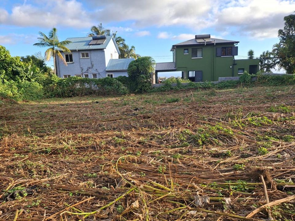 Terra a Le Tampon, La Reunion - foto 2