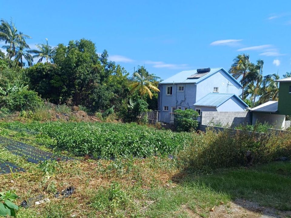 Terra a Le Tampon, La Reunion - foto 3
