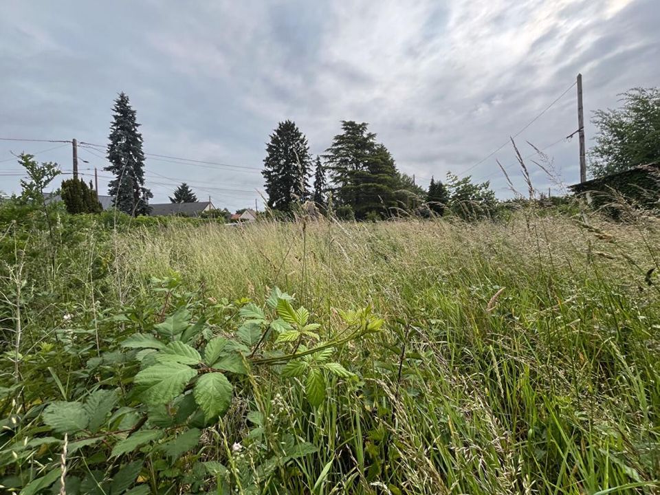 Helårsgrund i Romorantin-Lanthenay, Loir-et-Cher - foto 3