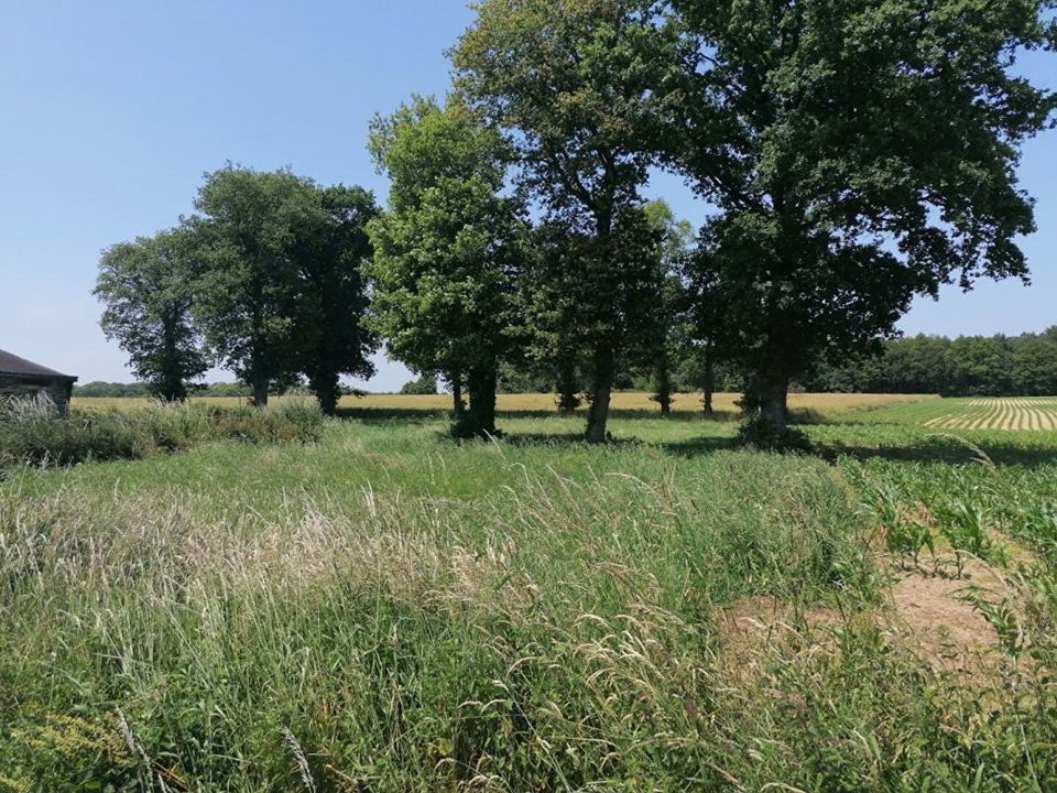 Terreno en Loyat, Morbihan - foto 2