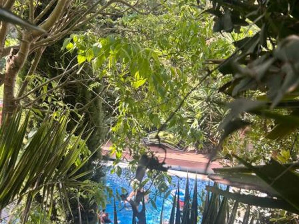 Villa i Auribeau-sur-Siagne, Alpes-Maritimes - foto 3