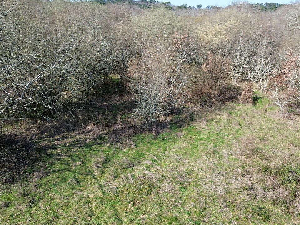 Terreno en Nabirat, Dordogne - foto 4