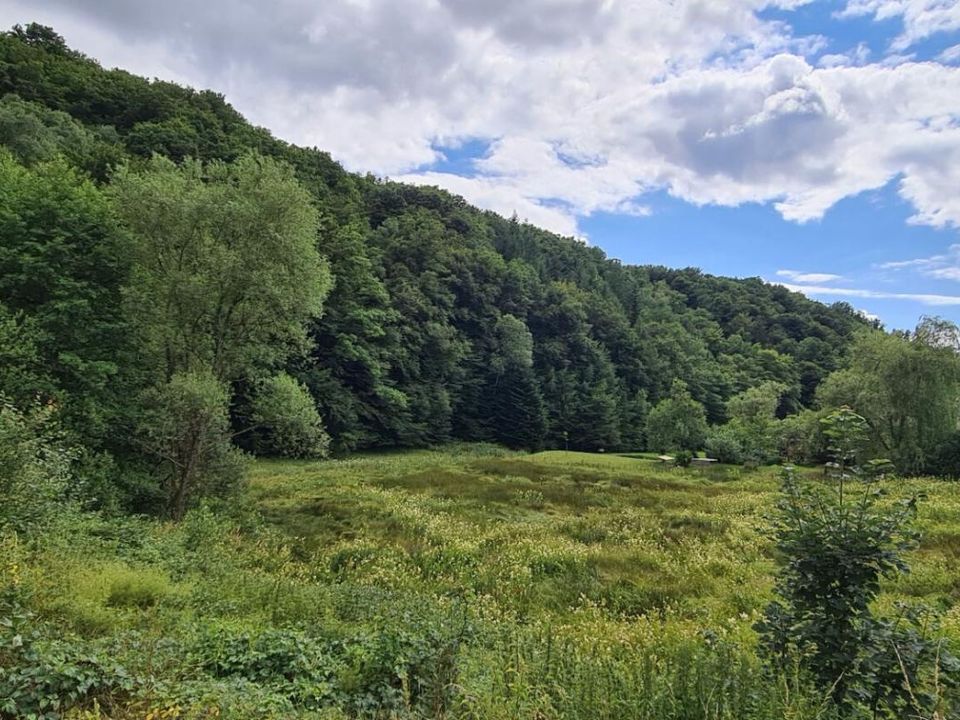 Terreno en Rougegoutte, Territoire de Belfort - foto 3