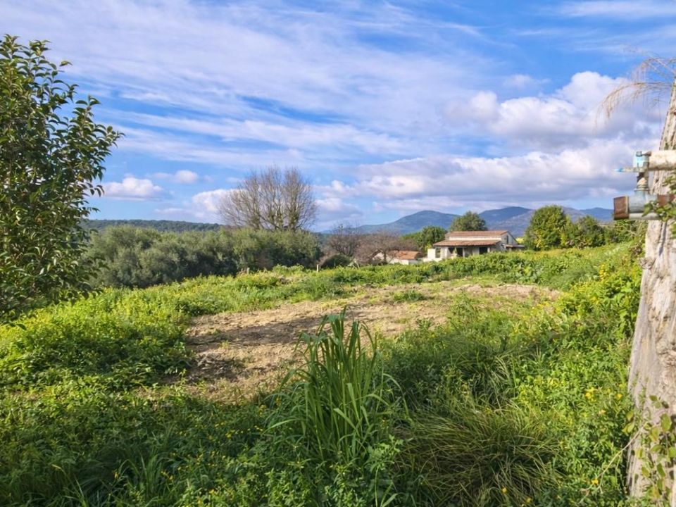 Helårsgrund i Vence, Alpes-Maritimes - foto 2