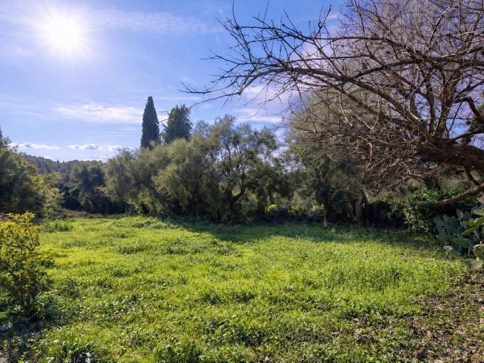 Helårsgrund i Vence, Alpes-Maritimes - foto 5