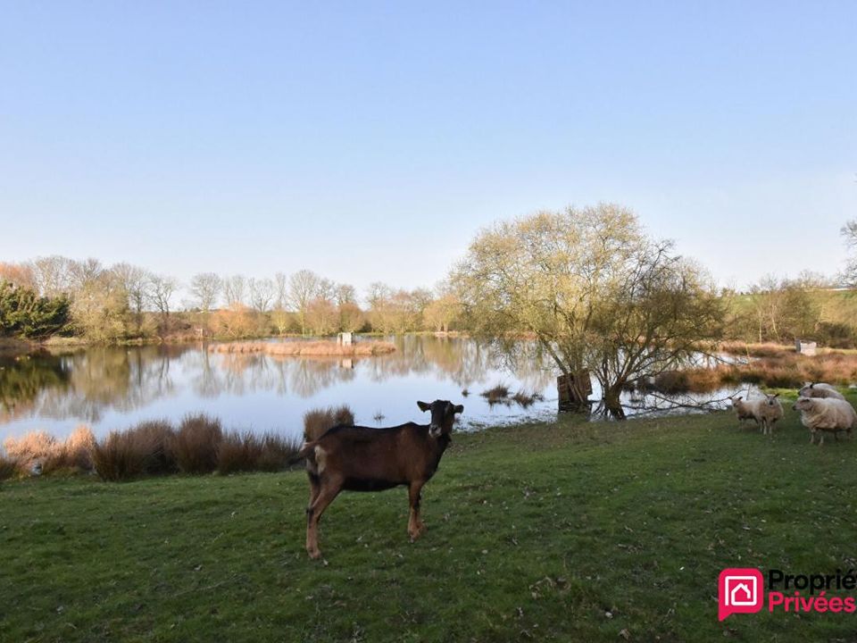 Helårsgrund i La Tessoualle, Maine-et-Loire - foto 2