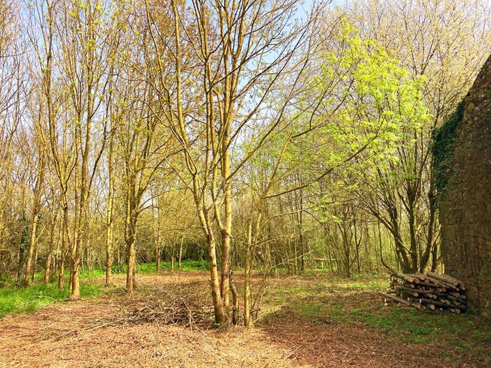 Gårdshus i Les Lucs-sur-Boulogne, Vendee - bilde 2