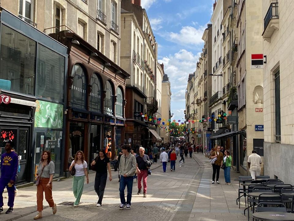 Erhvervsejendom i Nantes, Loire-Atlantique - foto 3