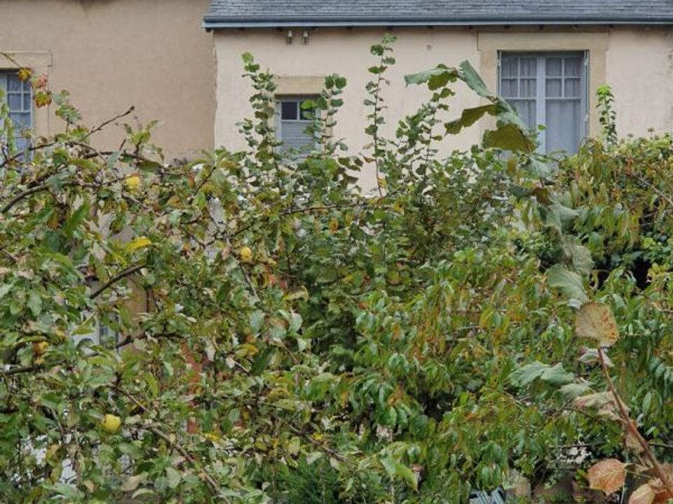 Villa in Déols, Indre - foto 3