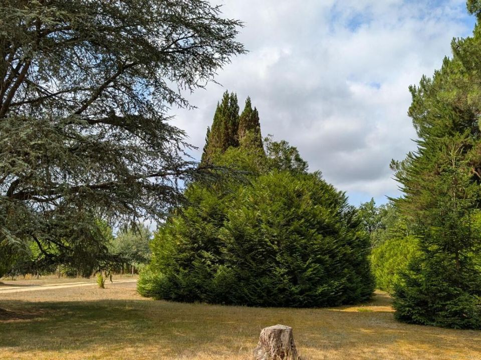 Villa i Oizé, Sarthe - foto 4