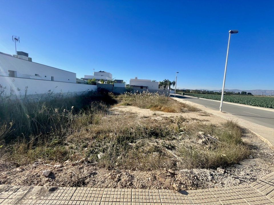 Helårsgrund i Formentera Del Segura, Alicante - foto 3