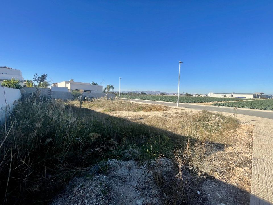 Helårsgrund i Formentera Del Segura, Alicante - foto 5