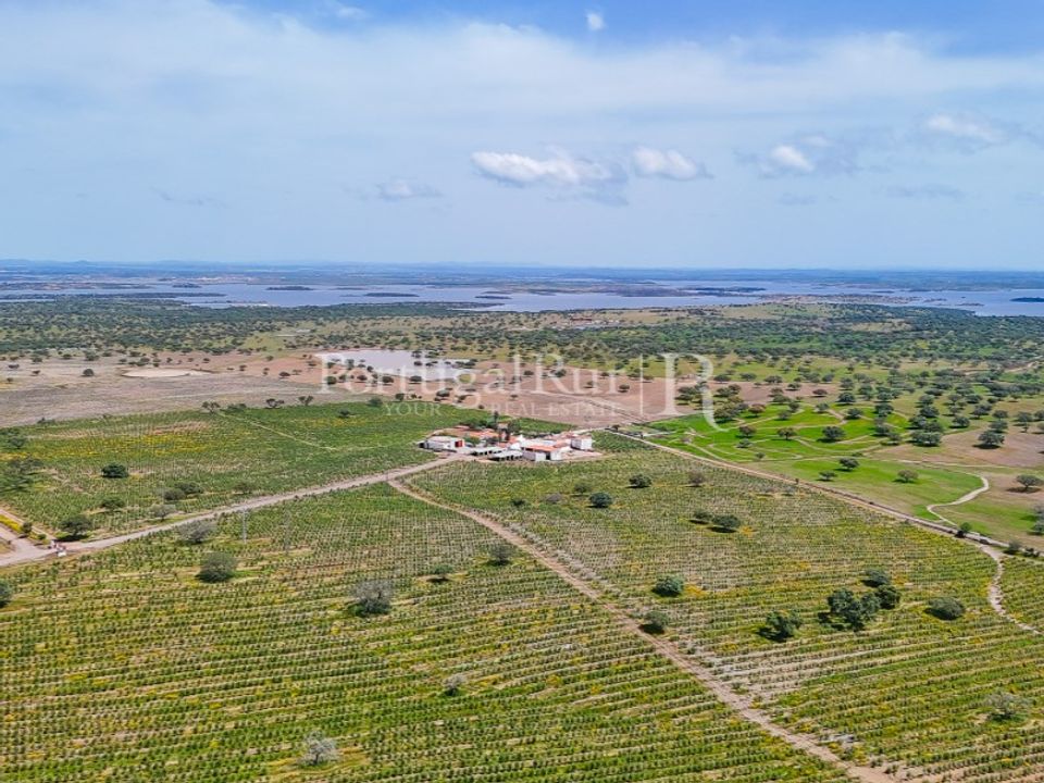 Herregård i Amieira e Alqueva, Evora - bilde 2