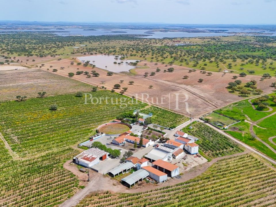 Herregård i Amieira e Alqueva, Evora - bilde 3