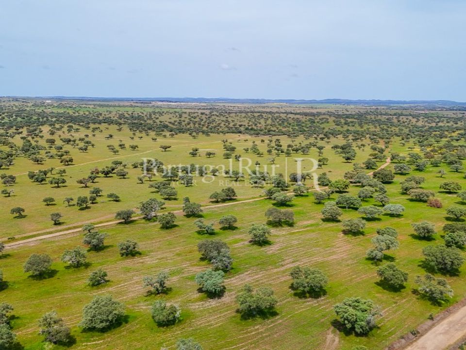 Herregård i Amieira e Alqueva, Evora - bilde 4