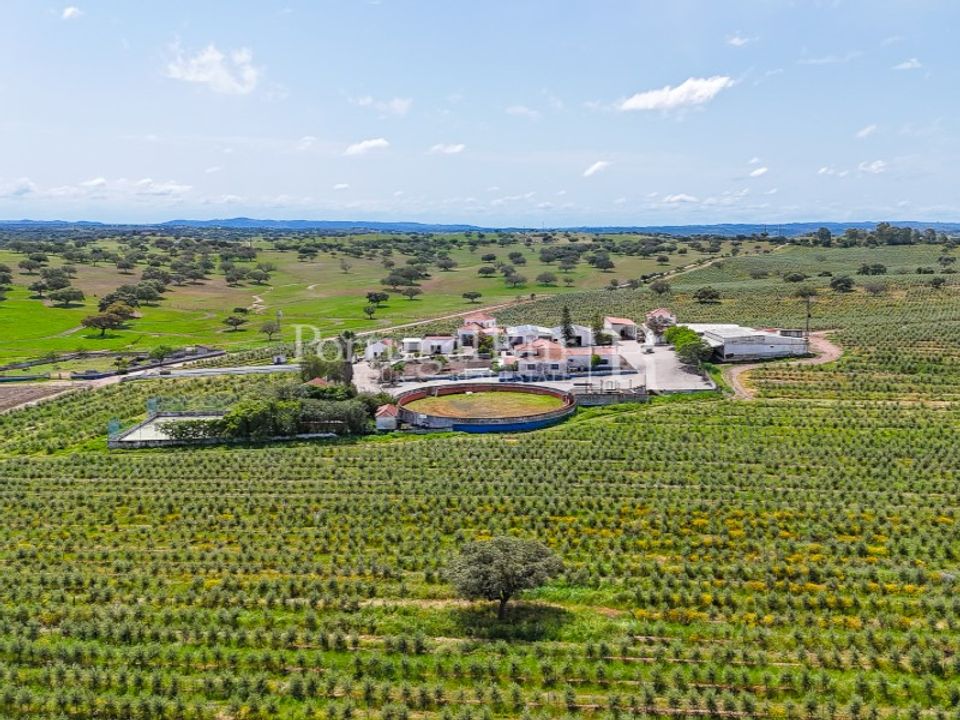 Herregård i Amieira e Alqueva, Evora - bilde 5