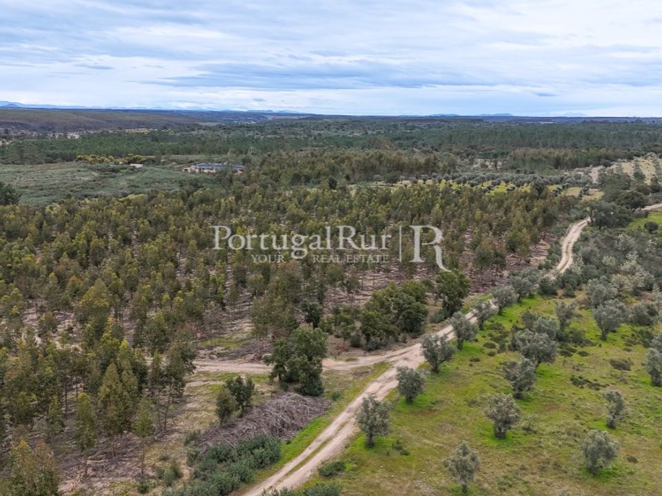 Terra a Gaviao, Portalegre - foto 1