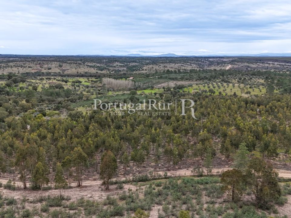 Terra a Gaviao, Portalegre - foto 2