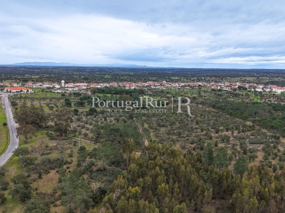 Terra a Gaviao, Portalegre - foto 1