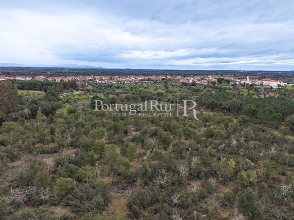 Terra a Gaviao, Portalegre - foto 2