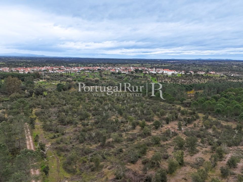 Terra a Gaviao, Portalegre - foto 3